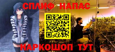 ECSTASY Нарткала